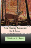 Michael S. True - On Shaky Ground